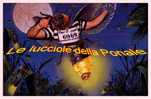 LE LUCCIOLE
