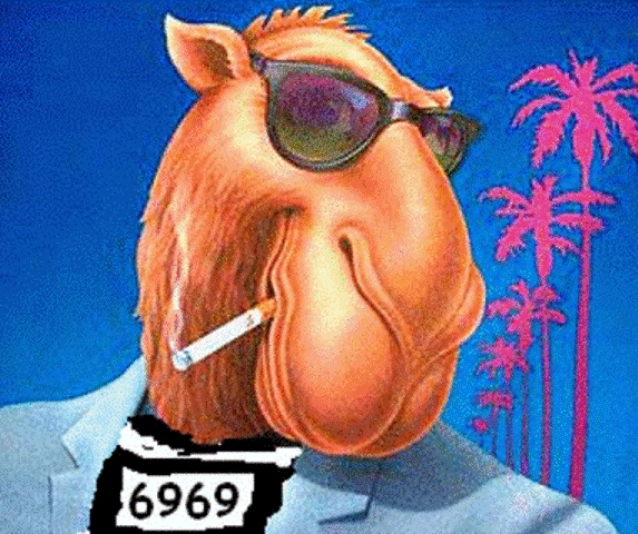 camel-2